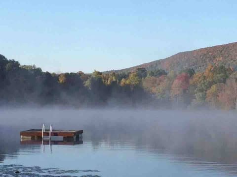 Oh what a beautiful morning....Nothing like the calm of dawn on Stissing Lake. Where the quiet moments meet the best views.

It's beautiful any time of day, any day of the year!
#dawn #quietmoments #lakeviews