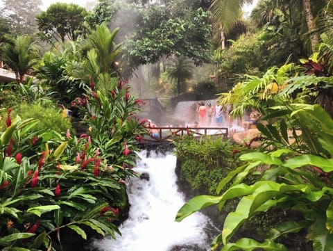 If you would rather have your dip be a warm one, go to one of our thermal baths!