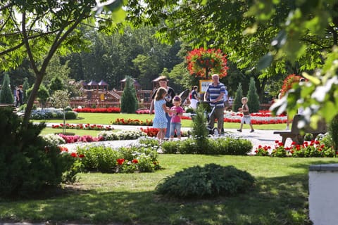 Surroundings [summer] (1-5 km)