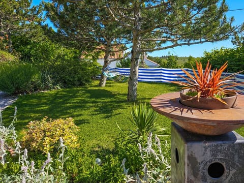 Blue, Green, Shrub, Garden, Plant Community, Lawn, Landscaping, Shade, Botanical Garden