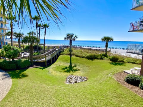 View from the balcony. Easy to watch dolphins playing along the shore.
