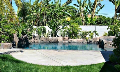 New Pebble-Tech Rock Pool w/in ground Jacuzzi