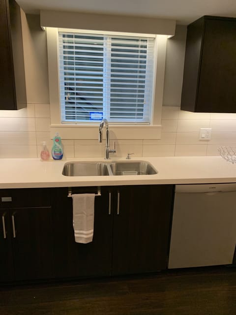 Kitchen sink and dishwasher