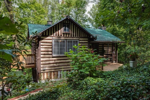 Quaint Little Cabin Nestled back in the woods