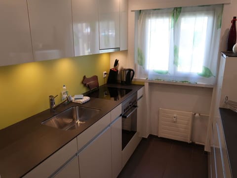 Kitchen Sink, Sink, Cabinetry, Tap, Countertop, Window, Kitchen, Wood, Architecture, Plumbing Fixture