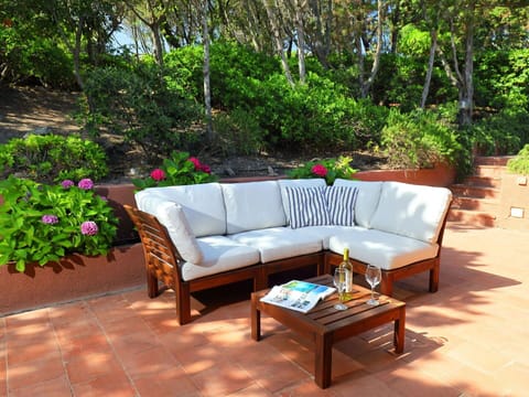 Furniture, Patio, Property, Outdoor Furniture, Table, Botany, Garden, Outdoor Table, Backyard, Yard