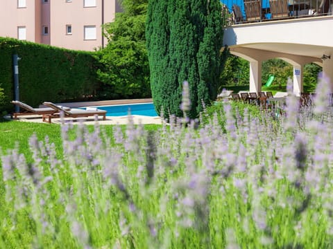 Green, Grass, Lavender, Tree, Plant, Grass Family, Lawn, Garden, Shrub, Architecture