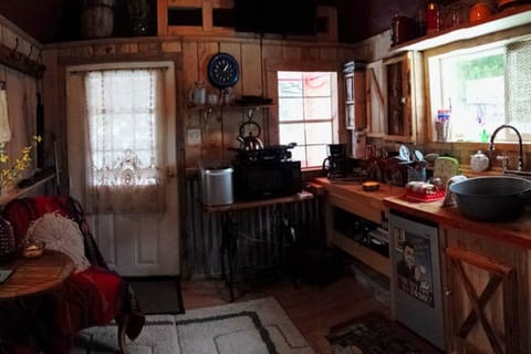 Main salon shows ice cube maker 2-burner hot plate, microwave and more...