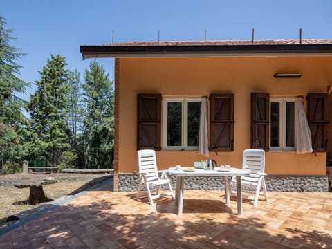 Sky, Property, Building, Table, Window, Plant, Shade, Wood, Tree, Chair