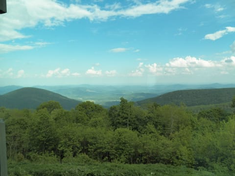 View from condo in summer