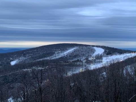 View from condo in winter