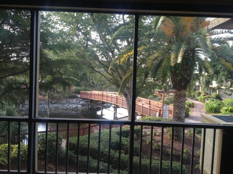 Closeup view from the apartment