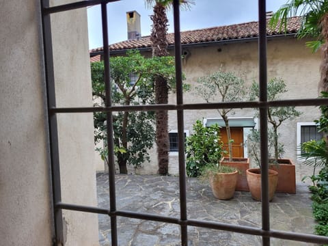 Plant, Building, Sky, Window, Flowerpot, Vegetation, Residential Area, Real Estate, Facade