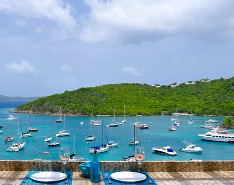 View of Cruz Bay harbor taken from our balcony