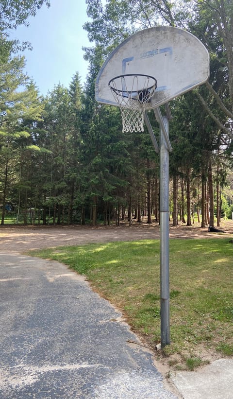 BB ball plenty of yard and plenty of games in garage provided.