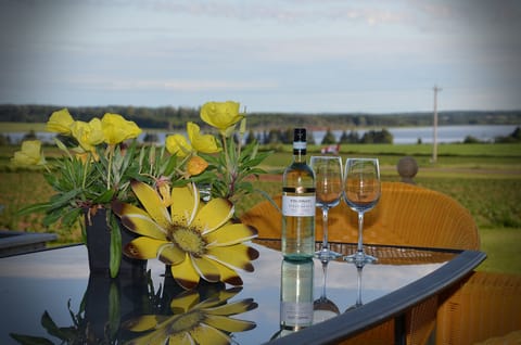 Pure Bliss and relation
The front deck with stunning panoramic waterviews.