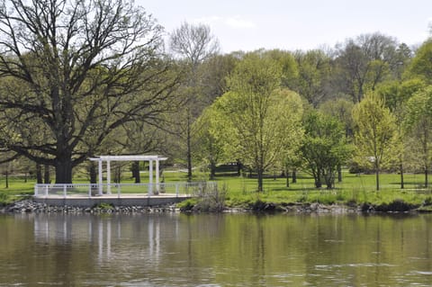 View of the park from the patio as you enjoy your morning cup of coffee