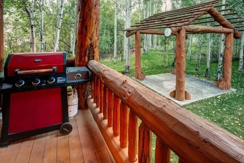 Outdoor patio and BBQ grill