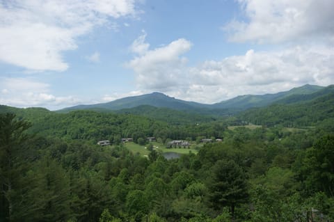 Your view from any room in the house!