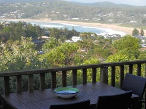Beach  and bush views from the deck