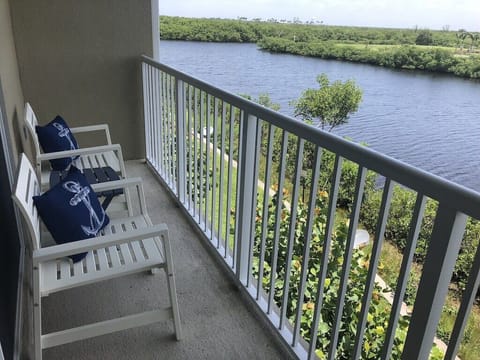 Watch dolphins swim by with your morning cup of coffee! 