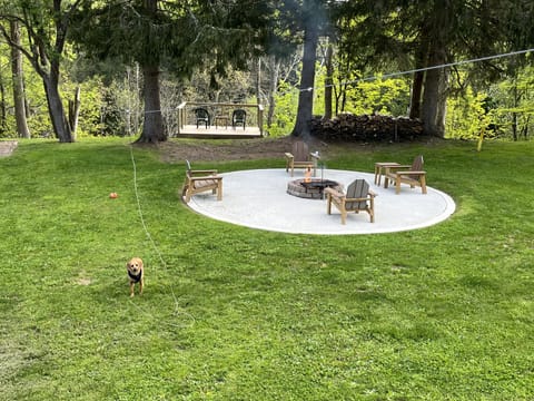  View of back yard from back porch