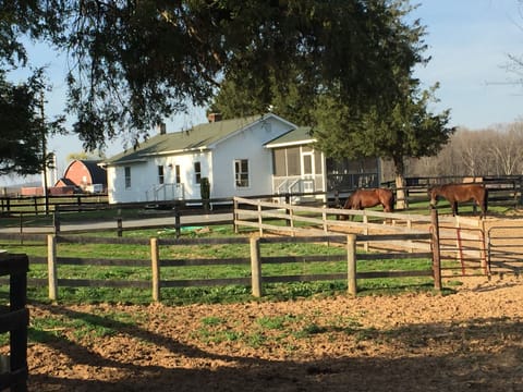 Horses at your back door.  You are in the middle of a huge farm.
