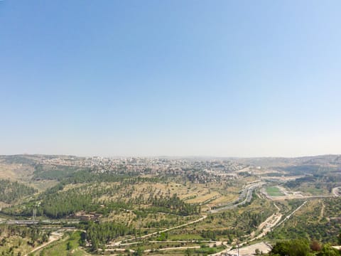 Actual View From Apartment 