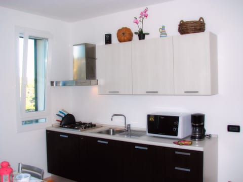 Kitchen: Equipped with Microwave, Fridge and Washing Machine