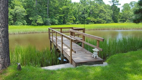 As the tide water disappears the wild life flocks in.