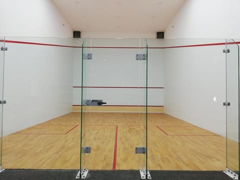 Sport court