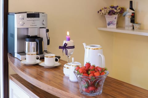 Villa Gorica kitchen