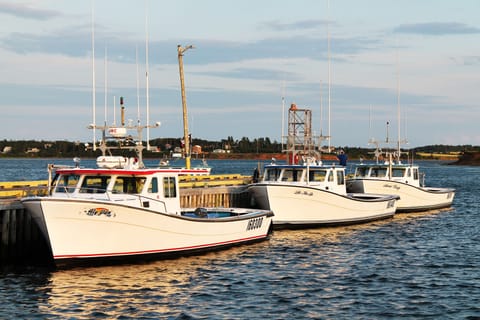 saltoftheharbor,com