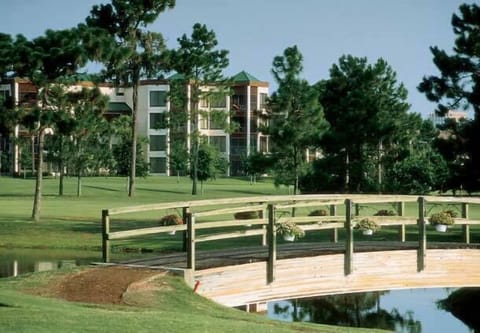 Resort View
