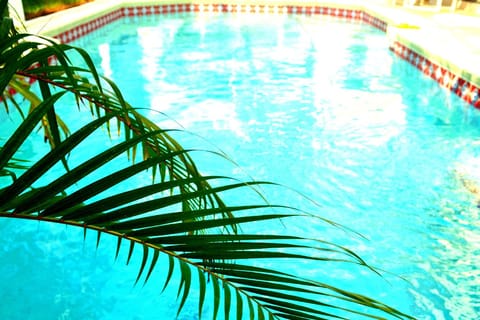 Aah... a refreshing dip in the pool!