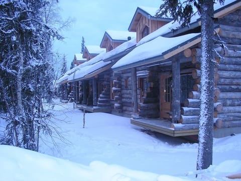 Snowy Cabin