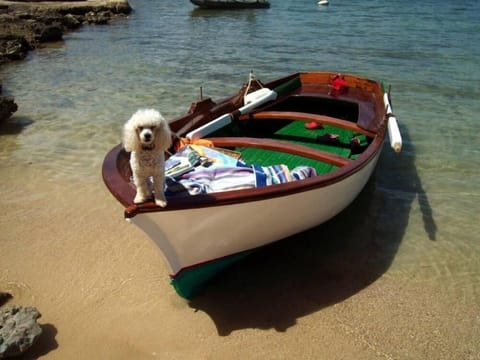 Our rowboat