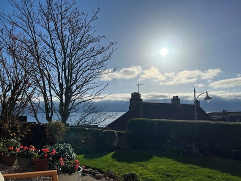 Views from the garden