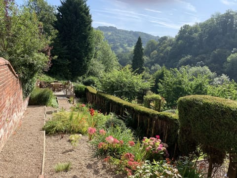 Back garden and decking in the summer. 