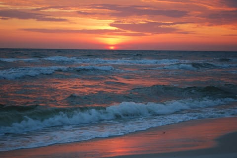 Beautiful sunset at the beach