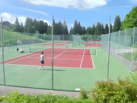 Field (volley/tennis)