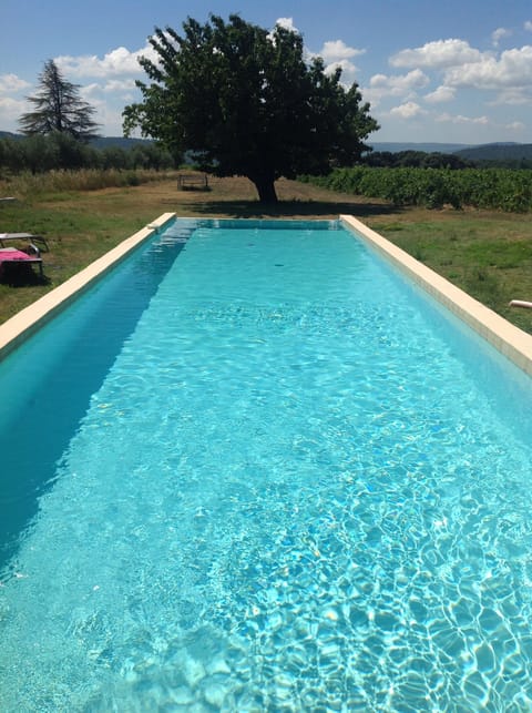 The swimming pool..and the olde cherry tree (best place for  nap)