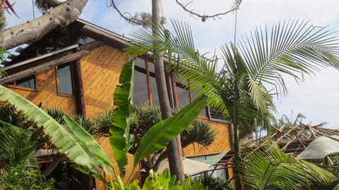 the house is perched above the surrounding homes.