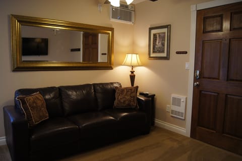 Living Area with Queen Size Leather Couch & In-wall Air conditioner.