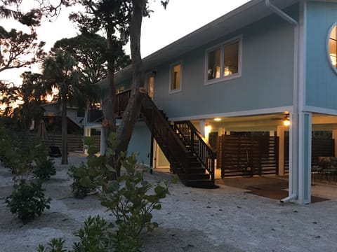 Backyard: native plantings, lots of sand and Cedar with Spanish moss!