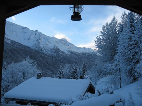 CHALET IN EXCEPTIONAL SITE 300 m FROM THE MECHANICAL HIGHWAYS Chalet in Saint-Gervais-Bains