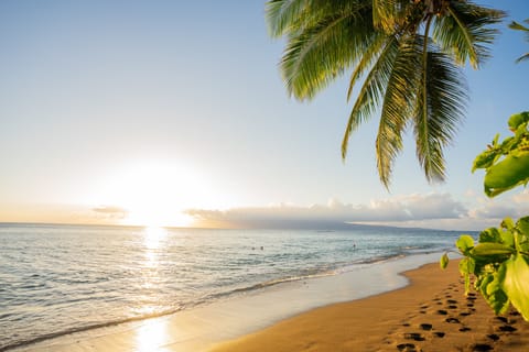 this is Maui!