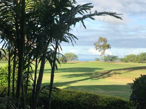 Lanai