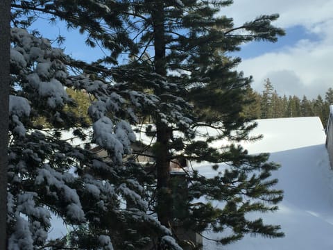 View from the living room