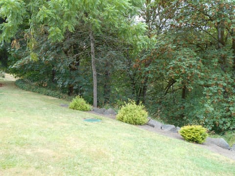 Yard with Walking Trails